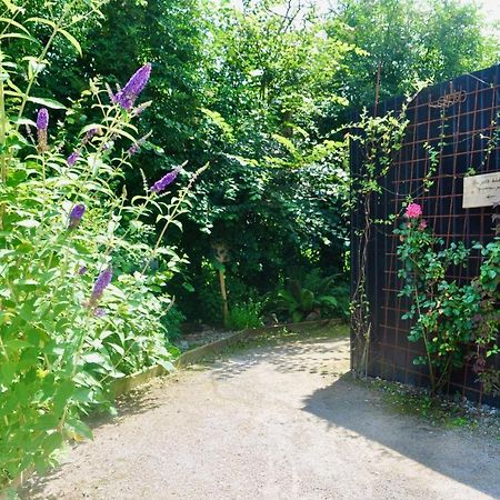 Les Bobos à la ferme La Madelaine-sous-Montreuil Exterior foto